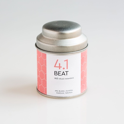 [IN3- BEAT] Beat